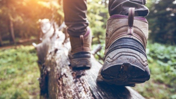 Boots of person walking across log in forest